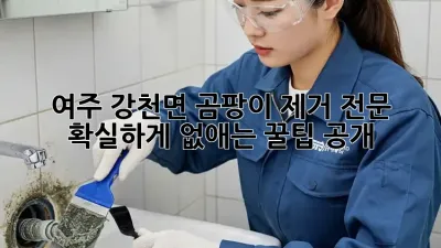 🏡 여주 강천면 곰팡이 제거 전문! 💯 확실하게 없애는 꿀팁 공개!